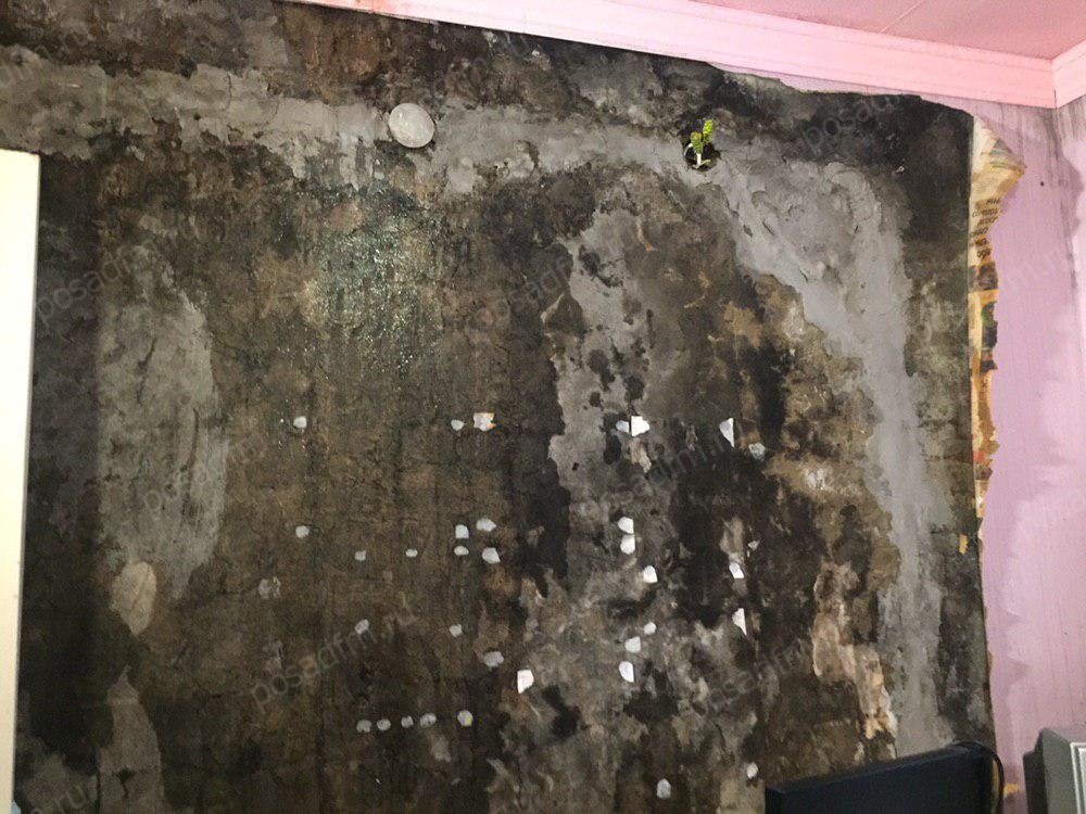 leshoz_krusha (6)_vod_znak.jpg leshoz_krusha (6)_vod_znak.jpg